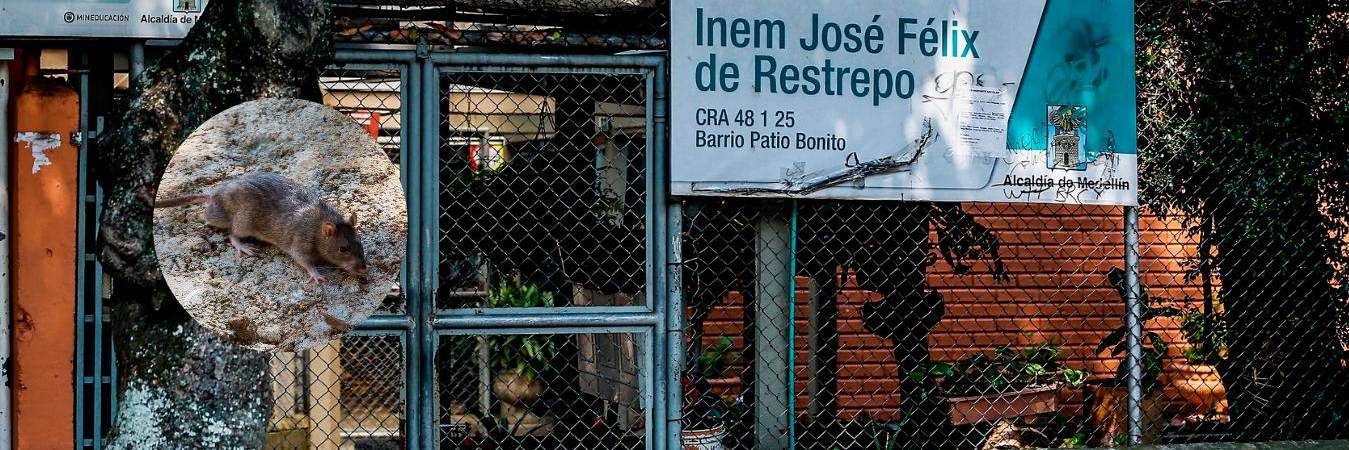De acuerdo con las autoridades, aunque se creía que las jornadas de limpieza y aseo serían rápidas, se deben revisar unas 60 aulas, más otros espacios usados por alumnos y profesores. / FOTOS ARCHIVO