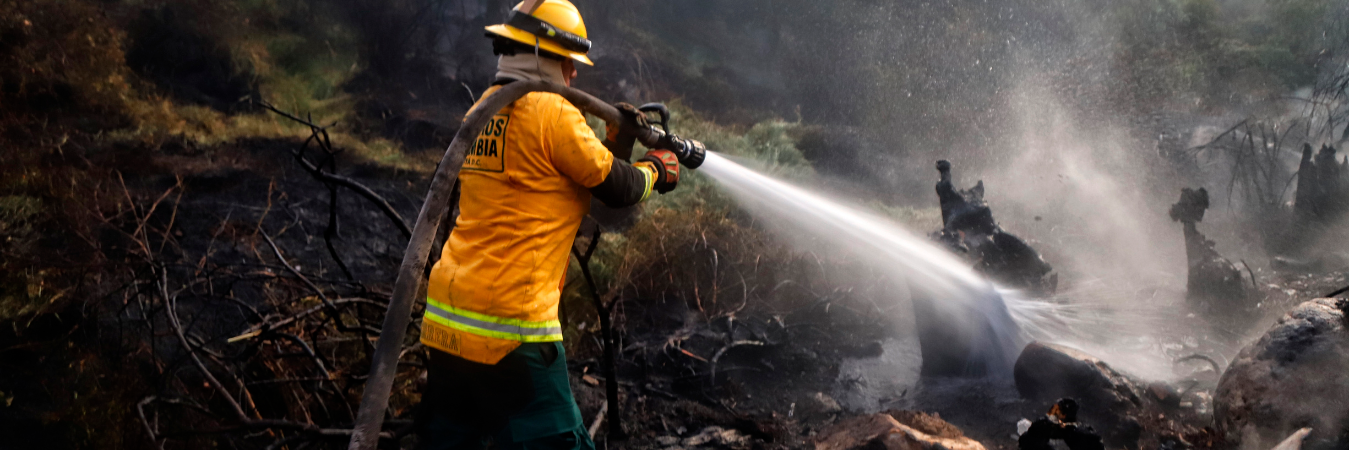 /FOTO: COLPRENSA - LINA GASCA