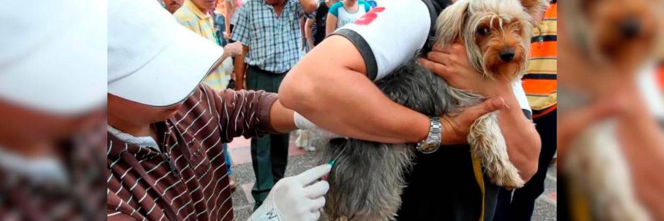 /FOTO: JAIME PÉREZ MUNÉVAR-ILUSTRATIVA 