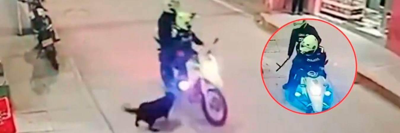 /FOTO: CAPTURA DE VIDEO TOMADO DE X @PlataformaALTO