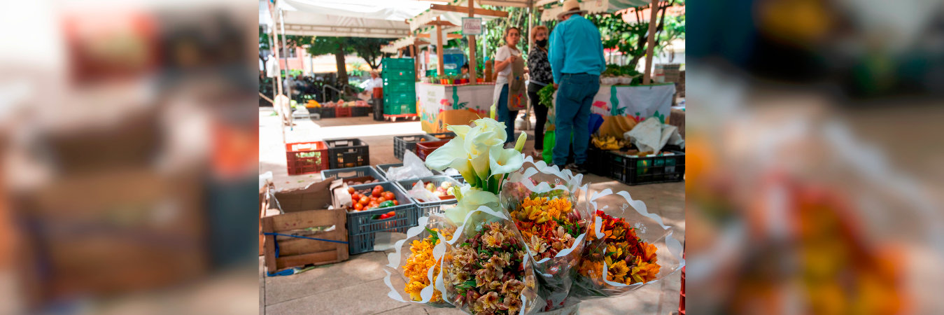 Los Mercados Campesinos se crearon para que la comunidad campesina de la ciudad vendiera su producción. /FOTO: ARCHIVO
