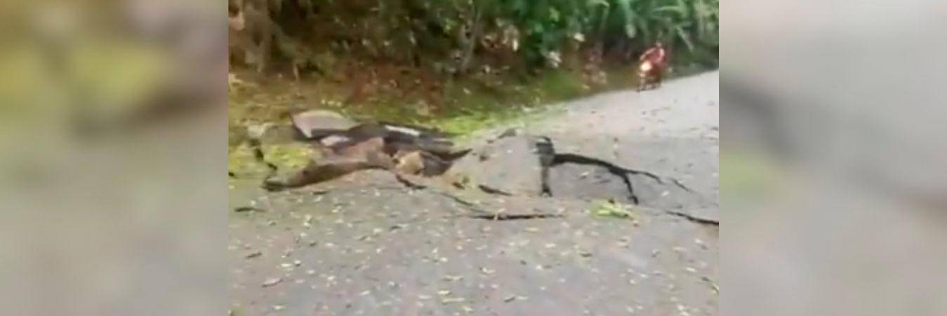 El gobernador de Antioquia denunció el hecho y dijo que los que sufren las consecuencias son las personas del común. / FOTO: CAPTURA DE PANTALLA
