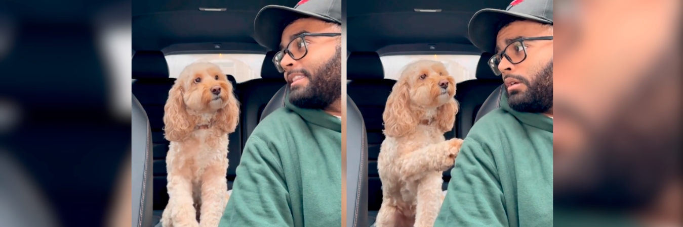 La perrita viral con su dueño. /FOTO: TOMADA DE VIDEO 