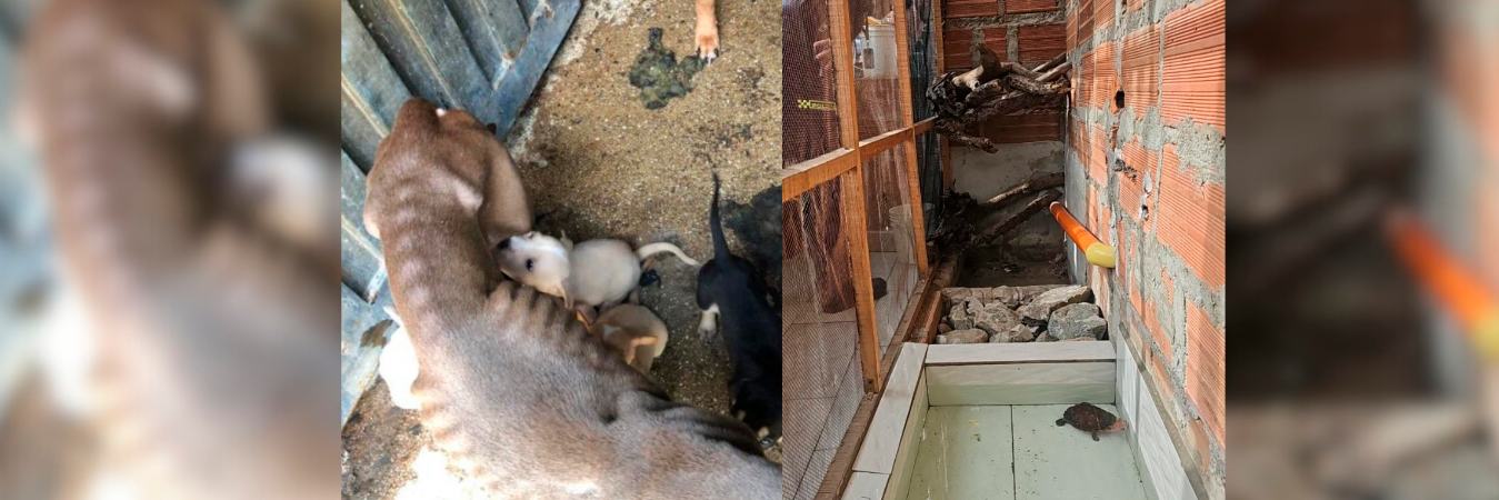 /FOTOS: CORTESÍA FISCALÍA 