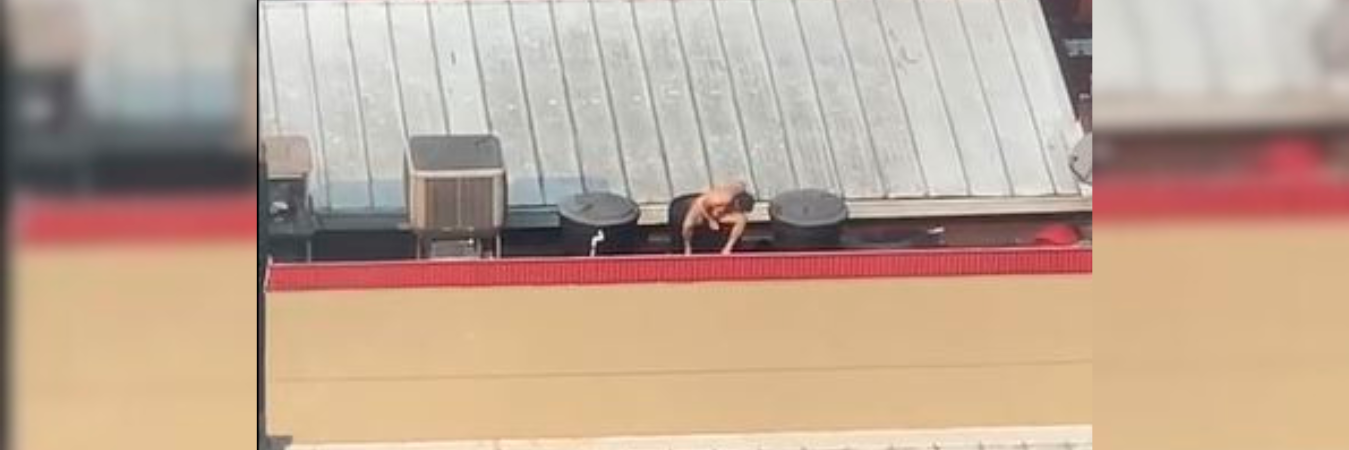 /FOTO: CAPTURA DE VIDEO