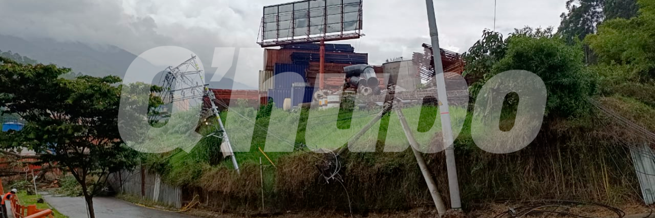 EN FOTOS: Un árbol dejó sin energía a varios habitantes de Caldas 