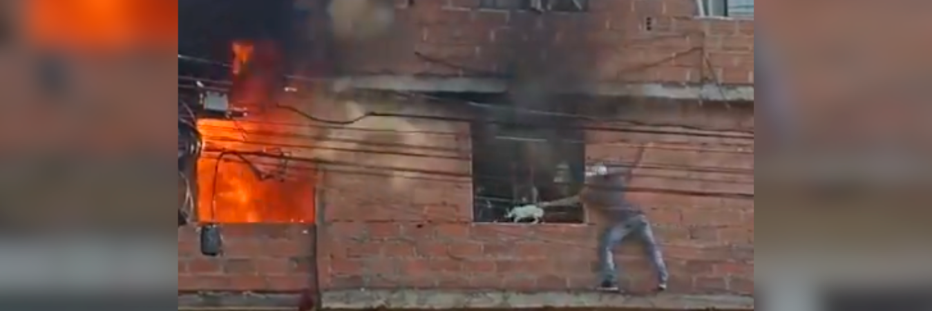 El hombre subió por las paredes del inmueble para rescatar a los animales. /FOTO: CAPTURA DE PANTALLA