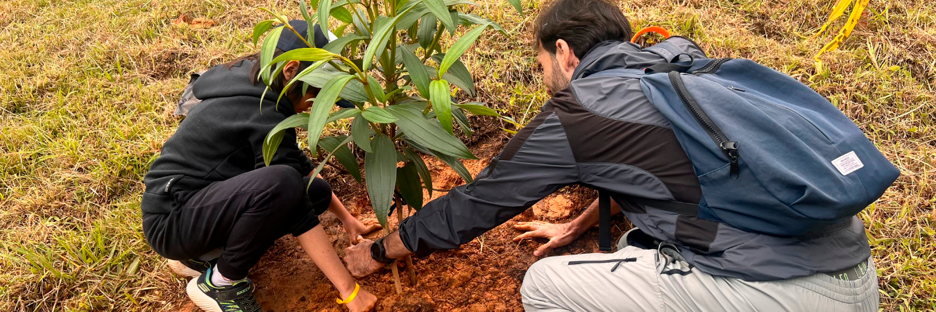 Jornada de siembra de árboles en el Valle de Aburrá. / FOTO: CORTESÍA ALLIANZ COLOMBIA.