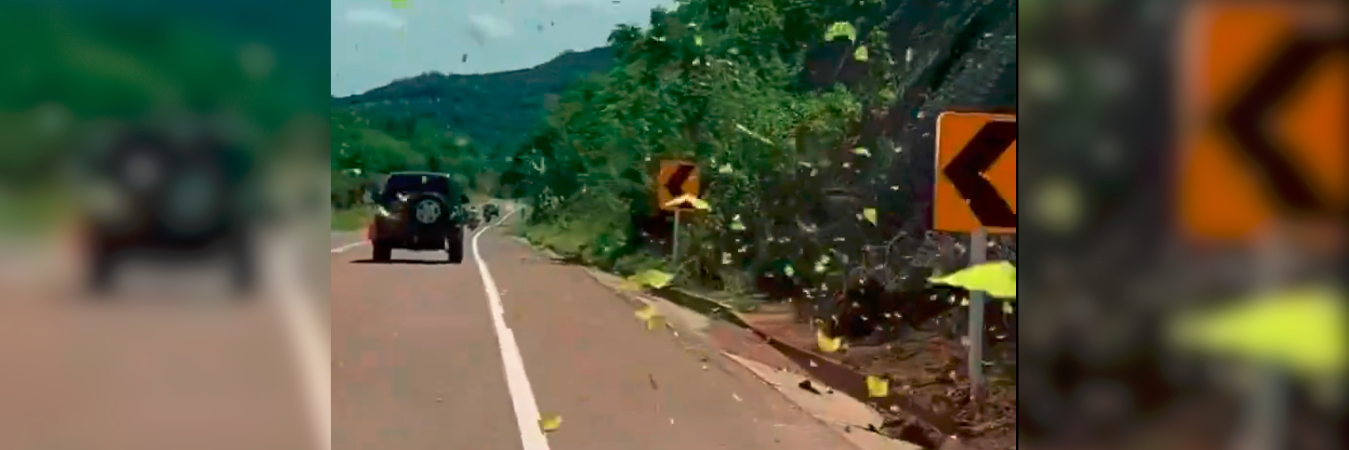 /FOTO: TOMADA DE VIDEO