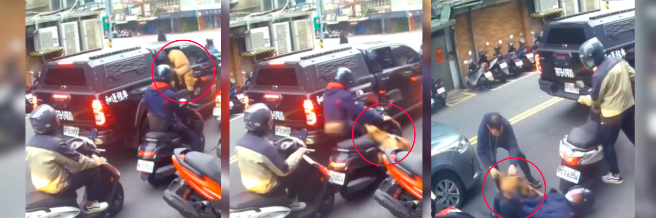 /FOTOS: TOMADAS DE VIDEO 