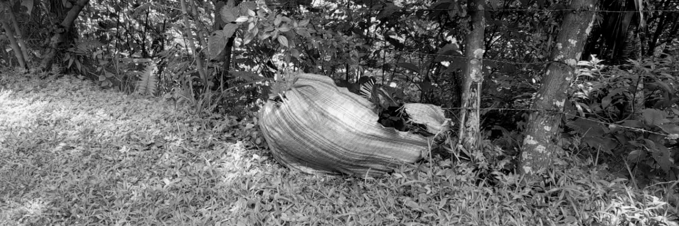 Autoridades investigan quienes fueron los responsables. /FOTO: CORTESÍA.