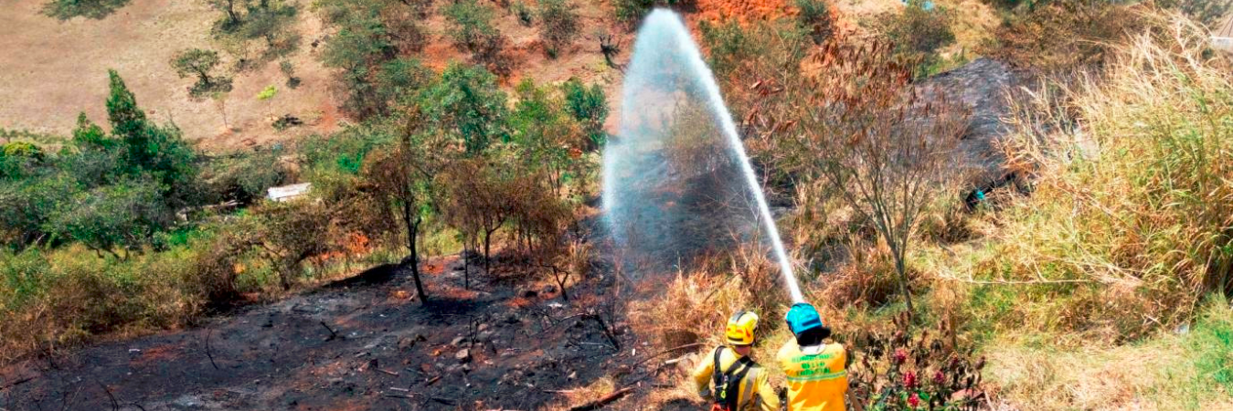 /FOTO: MANUEL SALDARRIAGA. 