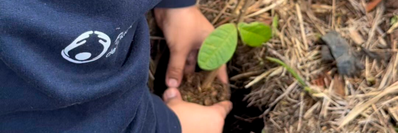 Así fue la jornada de reforestación de Samy Cosmetics /FOTO: CORTESÍA.