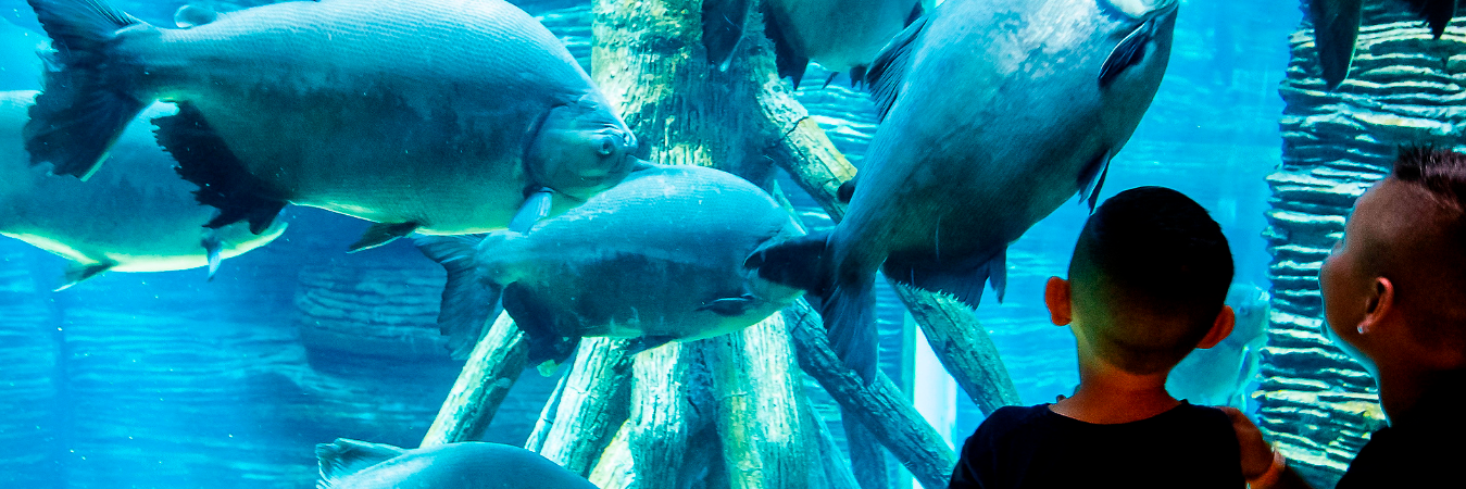 La mayoría de niños y jóvenes ya disfrutan de sus vacaciones. FOTO: JAIME PÉREZ. 