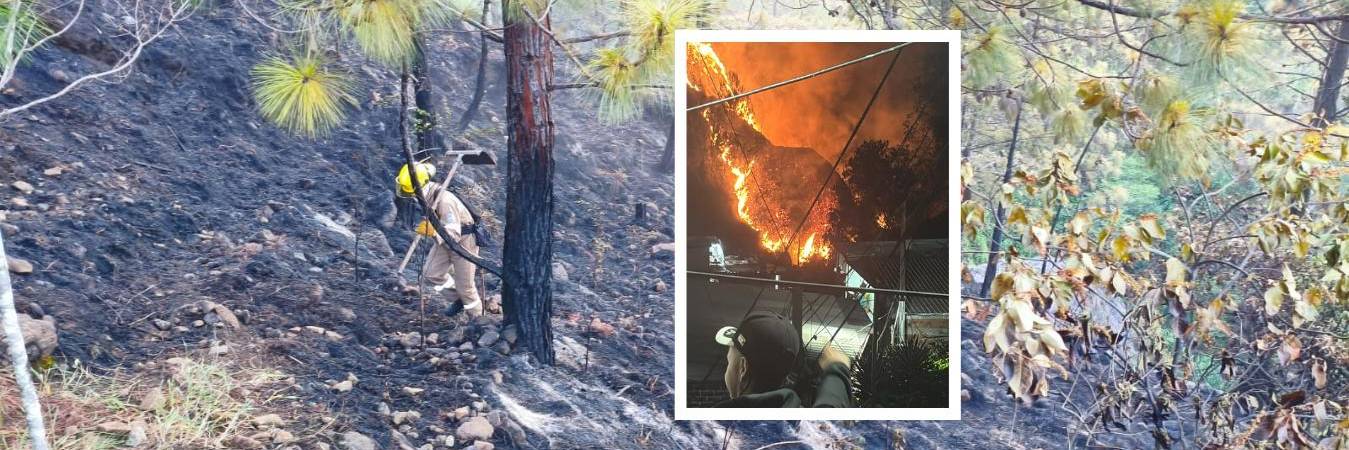 Las llamas en el cerro Quitasol fueron controladas y se volvieron a reactiva. FOTOS: ALCALDÍA DE BELLO