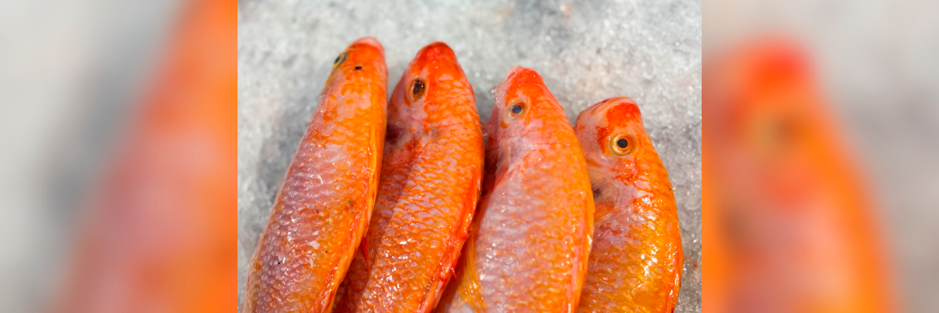 /FOTOS: SECRETARÍA DE SALUD DE MEDELLÍN