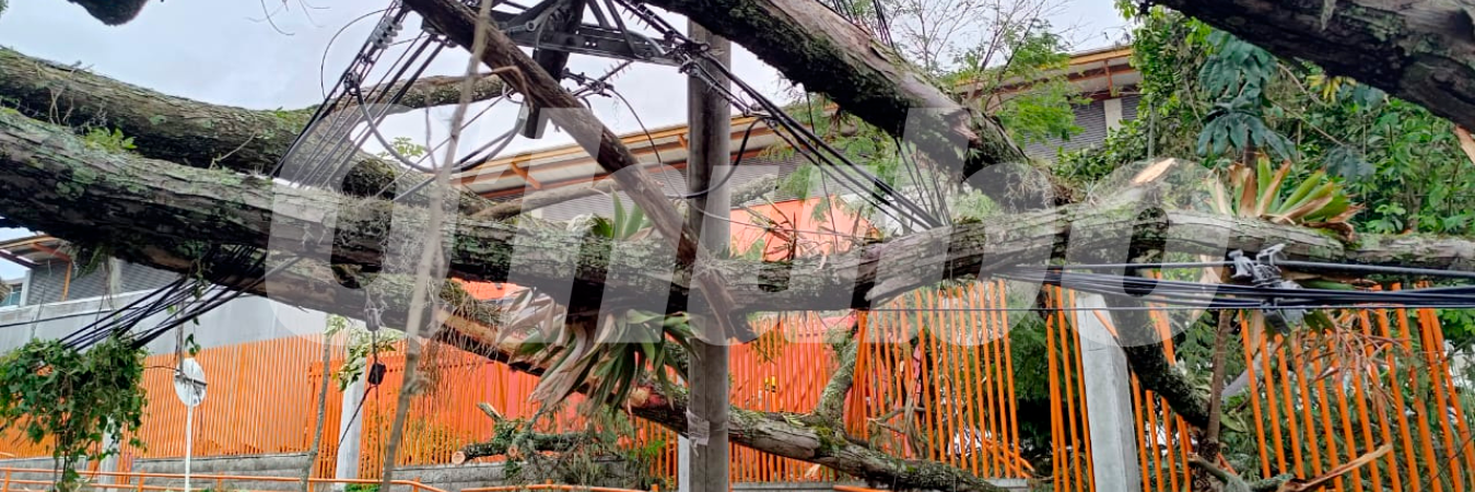  /FOTOS: SUSANA COGUA 