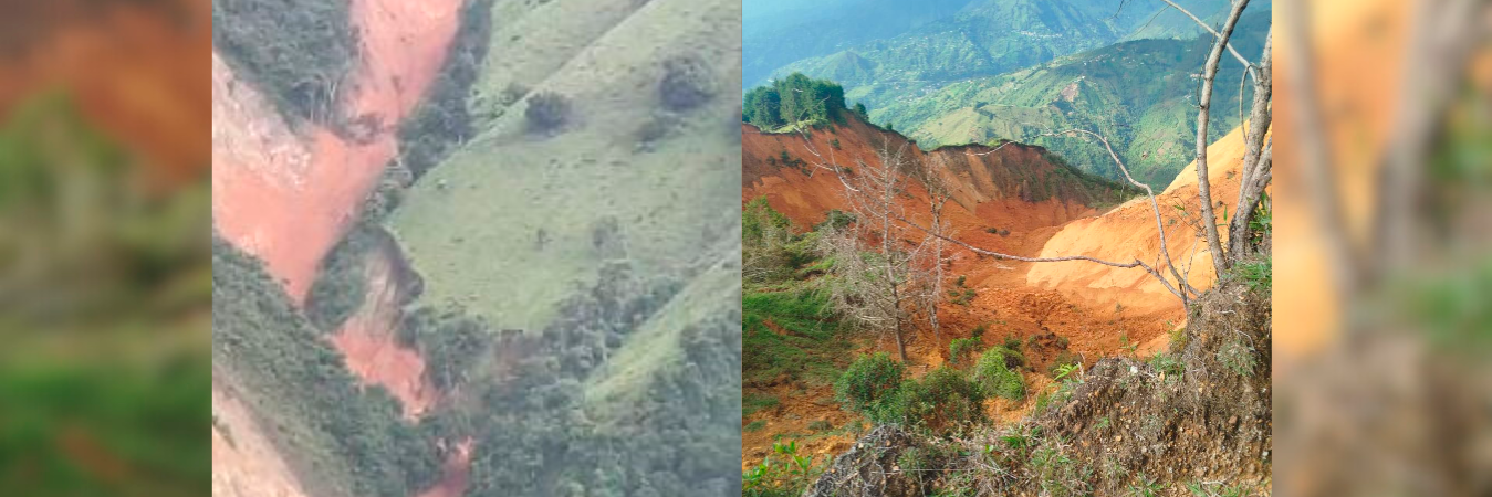 Una montaña completa resultó afectada. /FOTOS: DENUNCIAS ANTIOQUIA Y ALCALDÍA DE EBÉJICO 