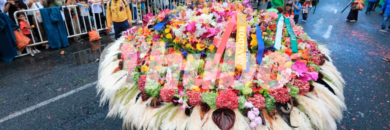 Esta es la silleta de Juan Ernesto Ortiz Grajales, ganador absoluto de esta edición. /FOTO: ESNEYDER GUTIÉRREZ 