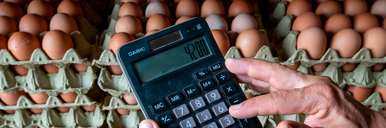 Venta de huevos en Colombia. /FOTO: ARCHIVO