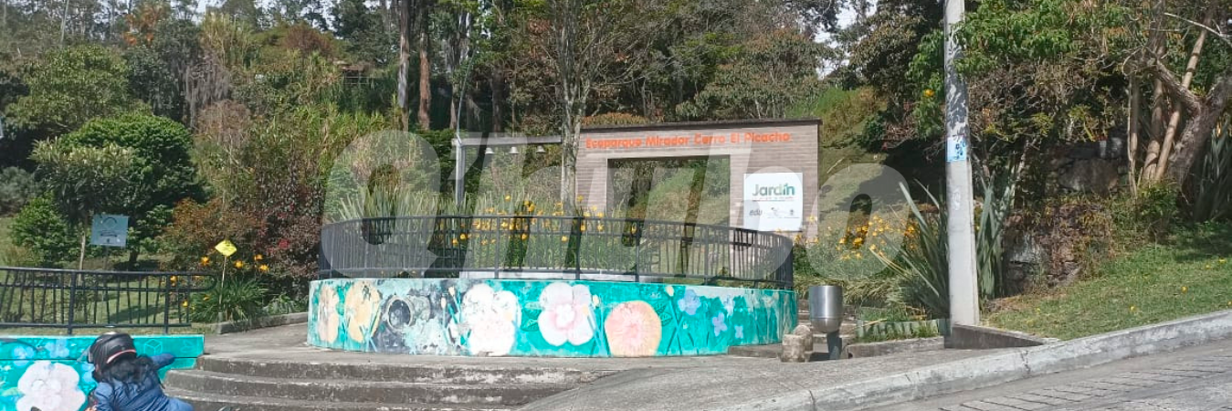 Cerro El Picacho. /FOTO: ALEJANDRA MORALES