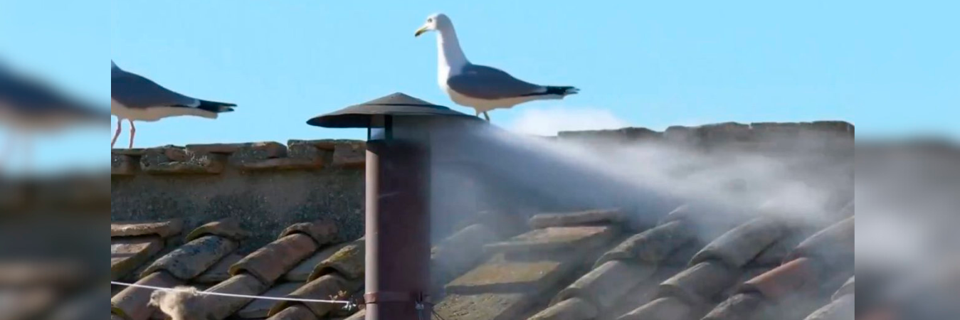 /FOTO: REDES SOCIALES