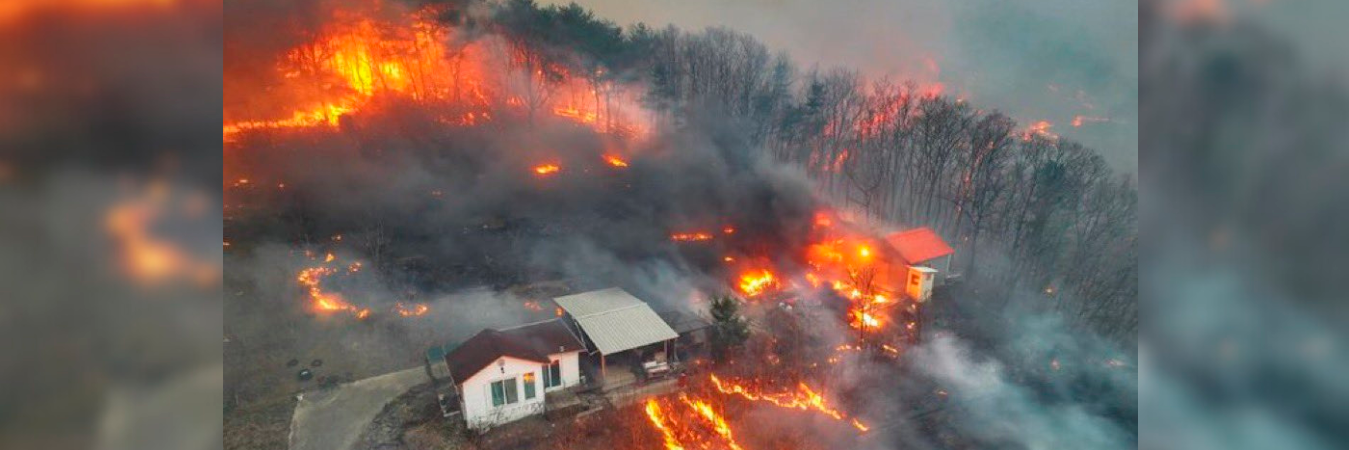Las autoridades realizan evacuaciones masivas tras los fuertes incendios forestales en Corea del Sur. /FOTO: X @InformaESV