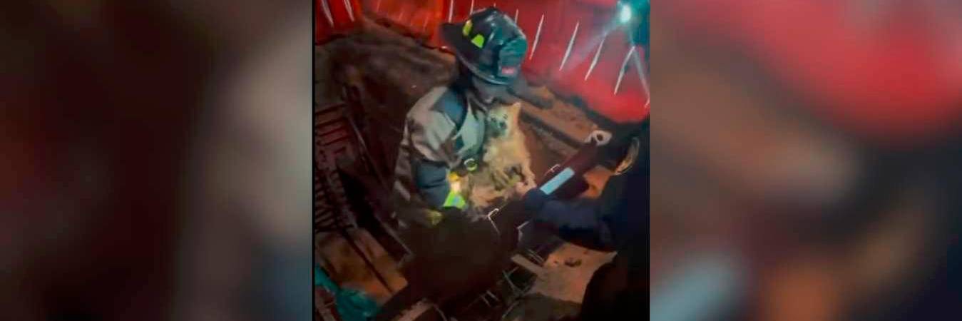 /FOTO: CORTESÍA BOMBEROS LA ESTRELLA