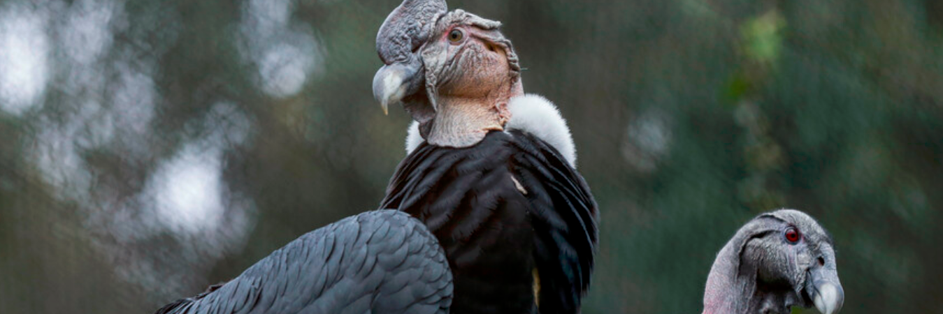 /FOTO: ARCHIVO COLPRENSA 