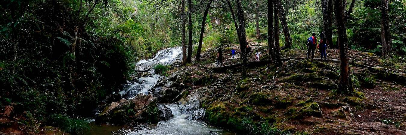 Tomada de archivo para ilustrar la nota. /FOTO: JAIME PÉREZ MUNÉVAR 
