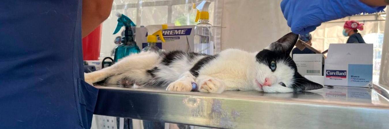 /FOTO: CORTESÍA ALCALDÍA DE MEDELLÍN 