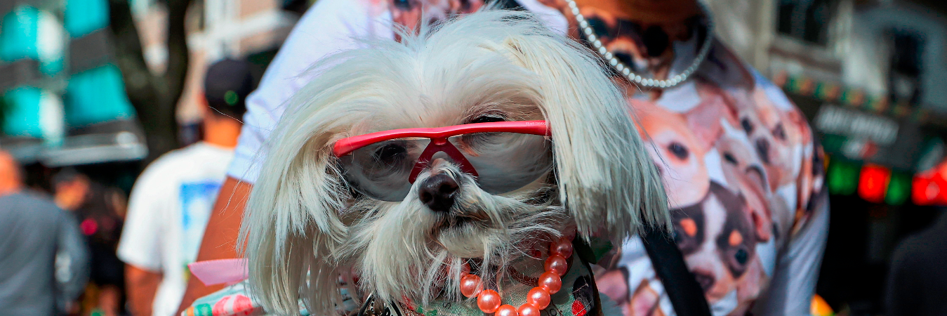 Imagen para ilustrar la nota. /FOTO: MANUEL SALDARRIAGA