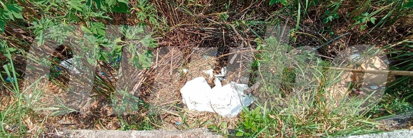 /FOTO: ALEJANDRA MORALES RÍOS 