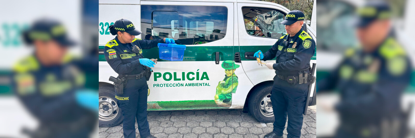 /FOTO: POLICÍA NACIONAL