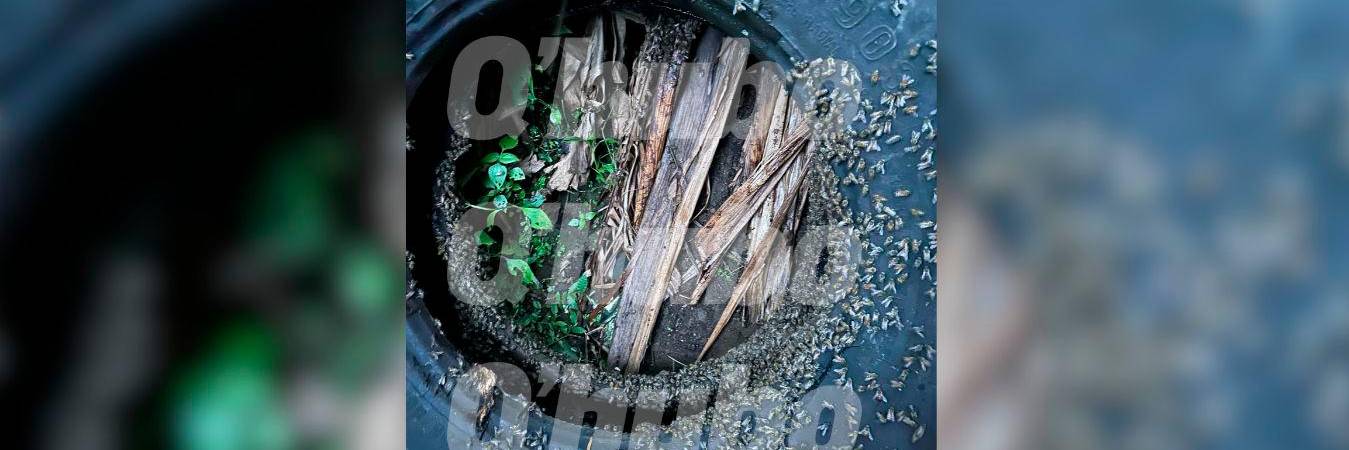 En esta llanta se encontraban las abejas que atacaron a Wbeymar Puerta Cano, de 51 años. /FOTO: CORTESÍA 