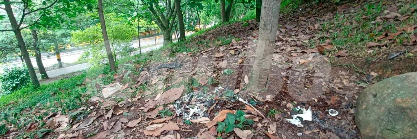 /FOTO: ALEJANDRA MORALES RÍOS