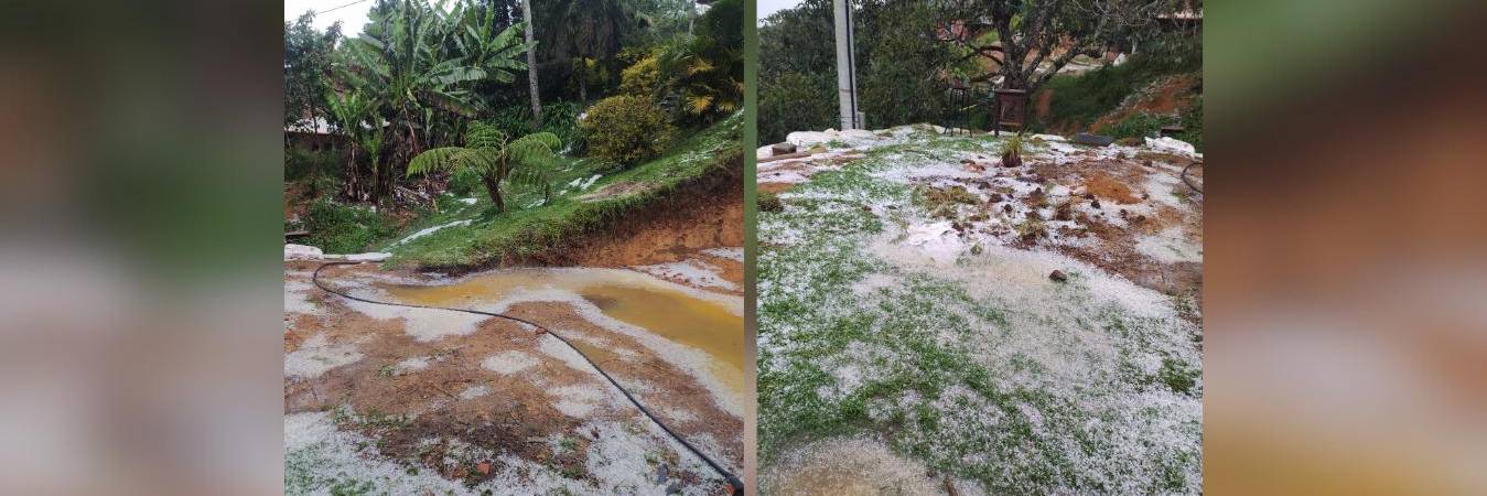 Así se vieron afectados los terrenos y cultivos en zona rural de Guarne por la fuerte granizada. /FOTOS: ALCALDÍA DE GUARNE