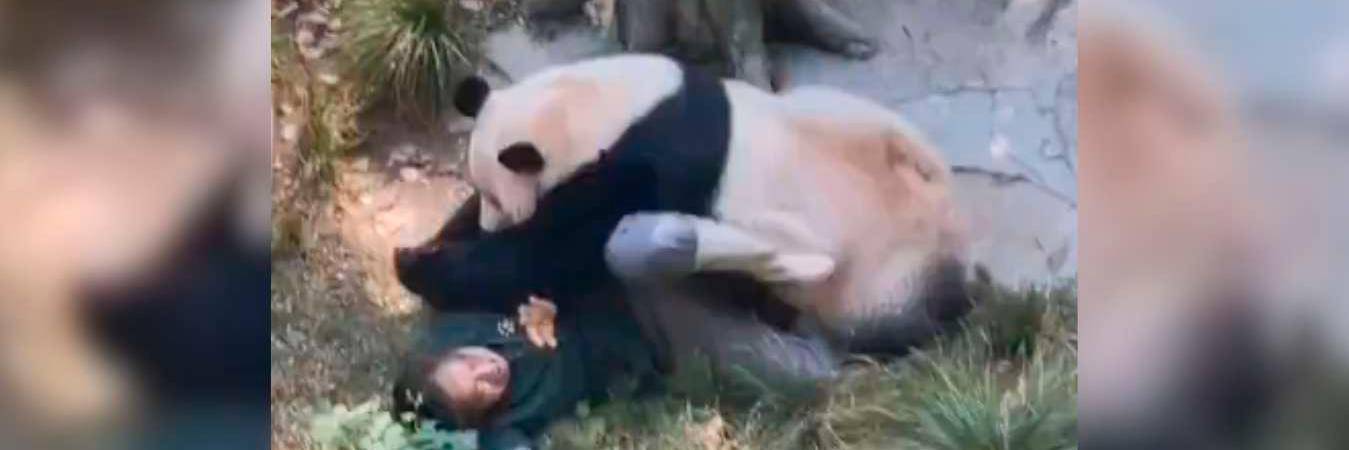 Después del ataque, el zoológico aseguró que mejorarán las medidas de seguridad. /FOTO: CAPTURA DE PANTALLA