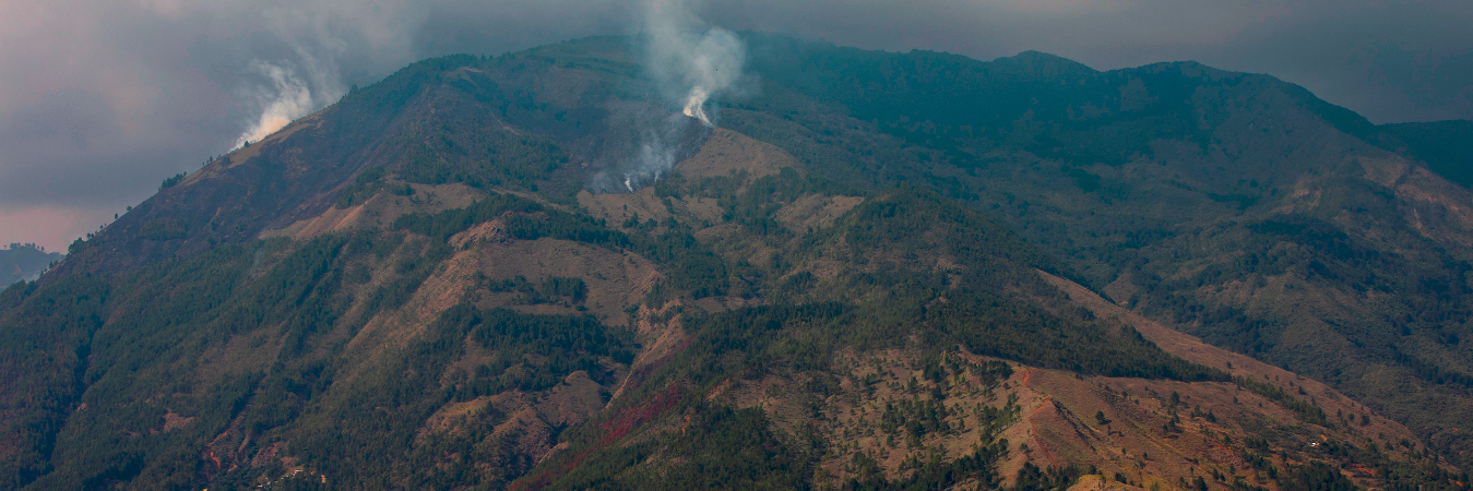 El cerro es hogar de varias especies endémicas del territorio, por ello se declaró como un lugar protegido. / FOTO: CARLOS ALBERTO VELÁSQUEZ