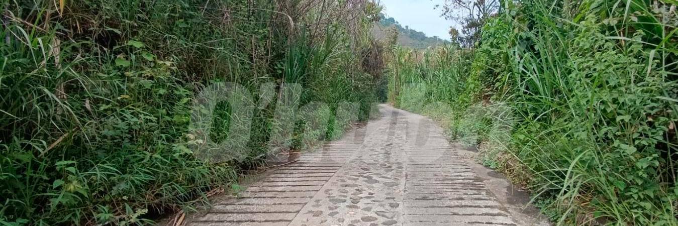 En este solitario camino de la vereda Quebrada Arriba, de Copacabana, fue encontrada sin vida Mariana Ossa David, de 19 años. /FOTO: ALEJANDRA MORALES RÍOS 