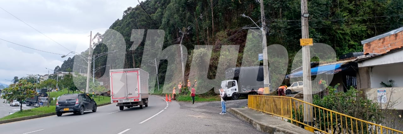 EN FOTOS: Un árbol dejó sin energía a varios habitantes de Caldas 