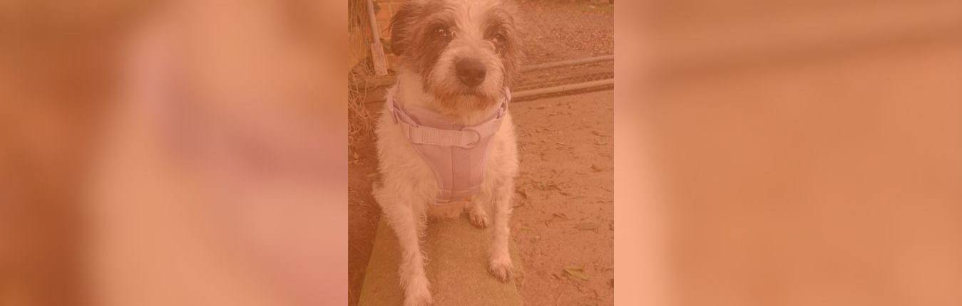 Imagen Actualidad - 2026-04-08T090417.153