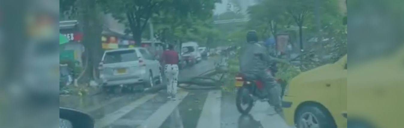 Imagen AGUACERO MEDELLÍN