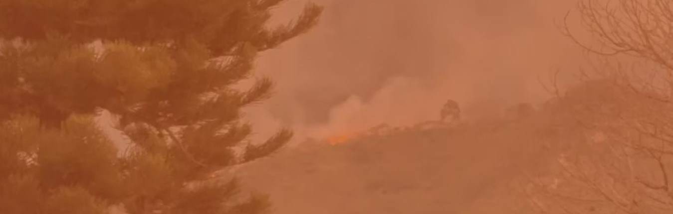 Imagen Se registran incendios forestales en