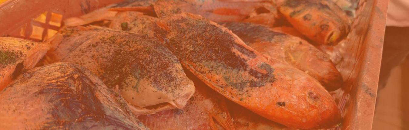 Imagen Sobreviviente accidente avión hércul