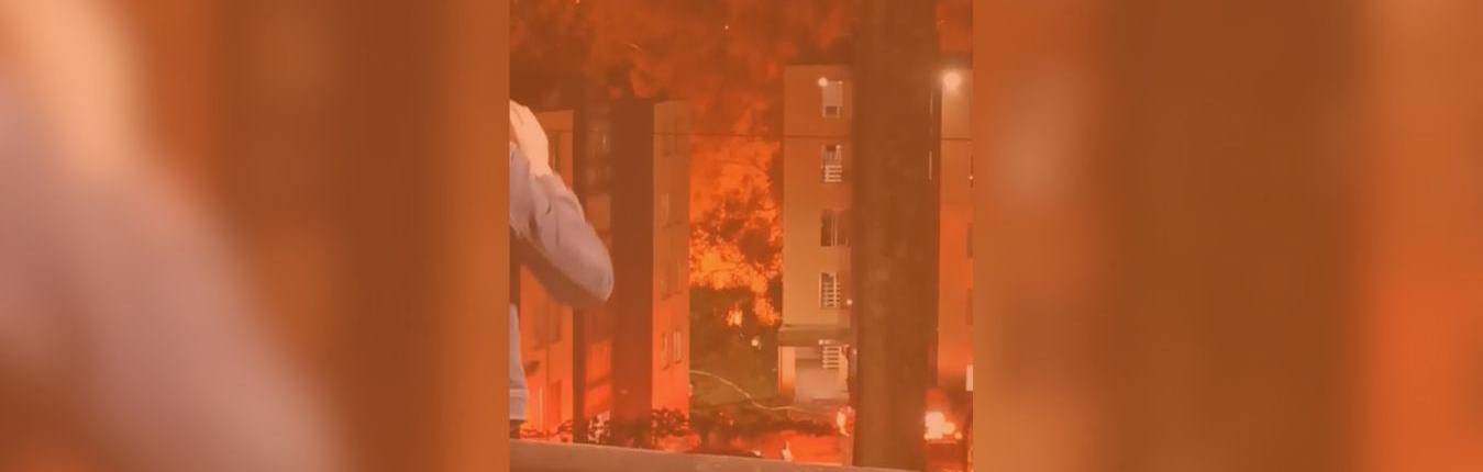 Imagen Banners web (8)