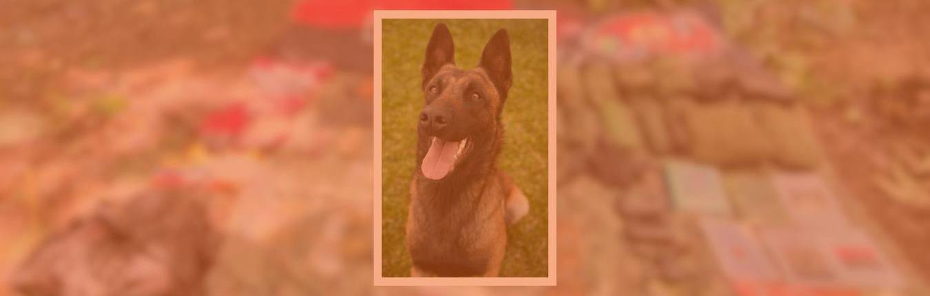 Imagen Actualidad (17)