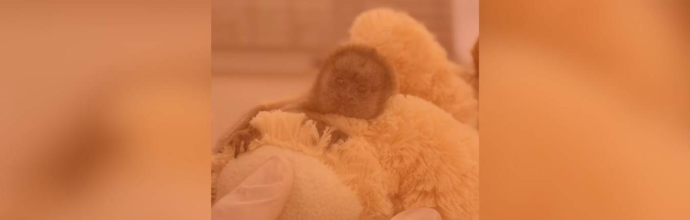 Imagen Banners web (2)