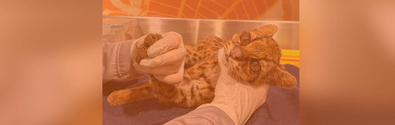 Imagen Actualidad (28)