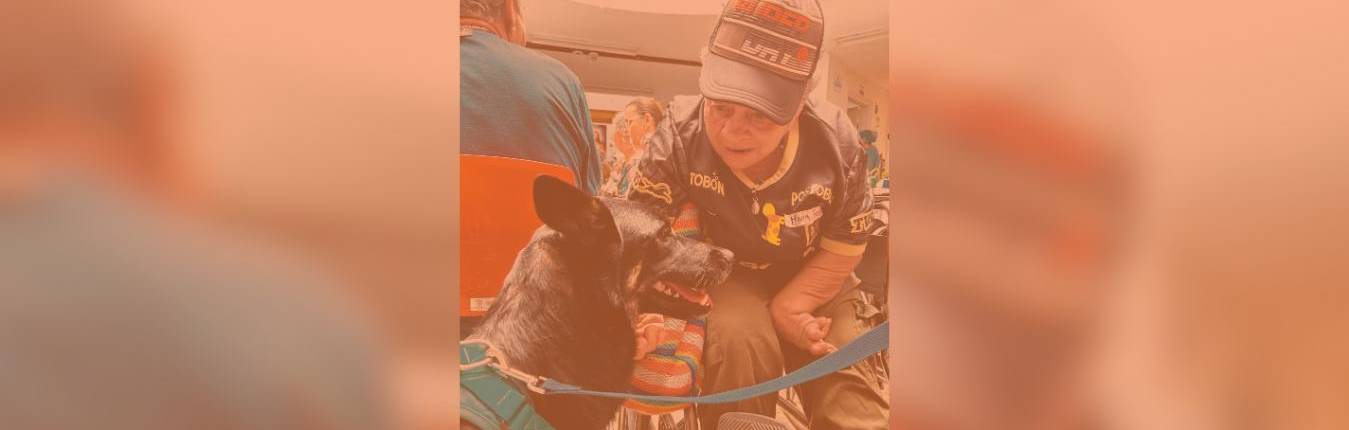 Imagen Actualidad (3)